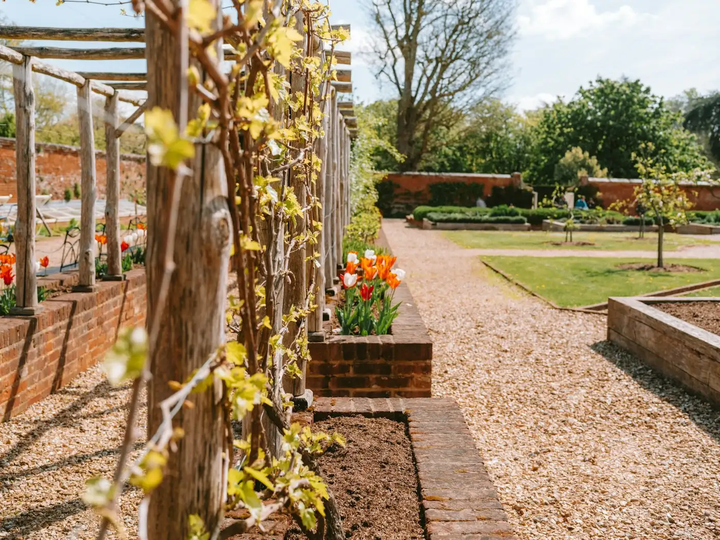 A beautiful garden with a gravel path and flower beds
