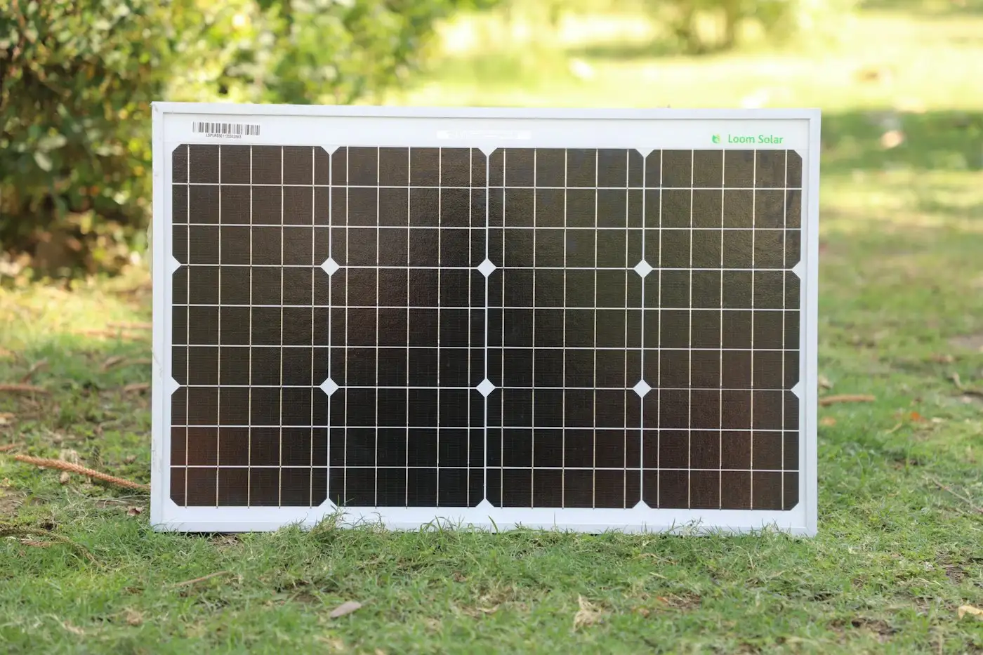 White and black board on green grass during daytime