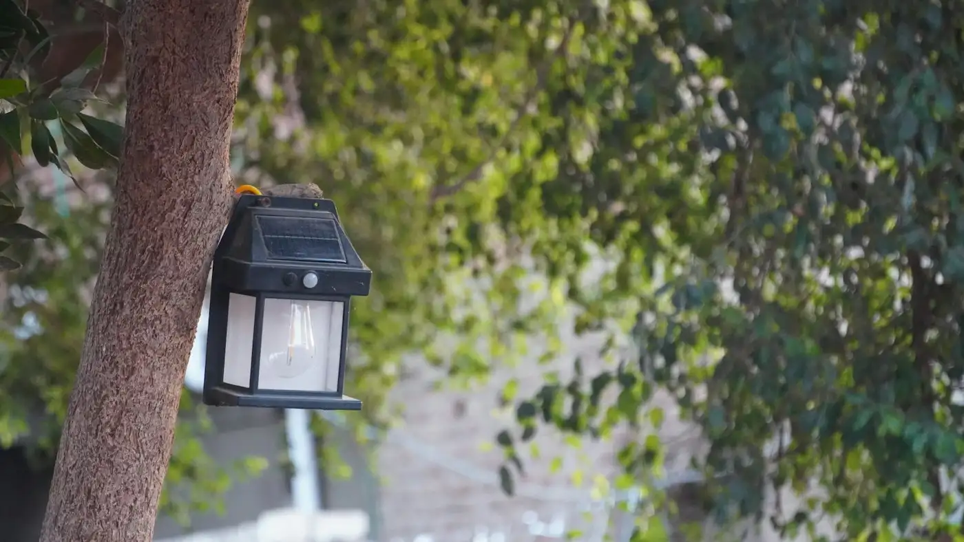 A solar powered lantern hangs on a tree