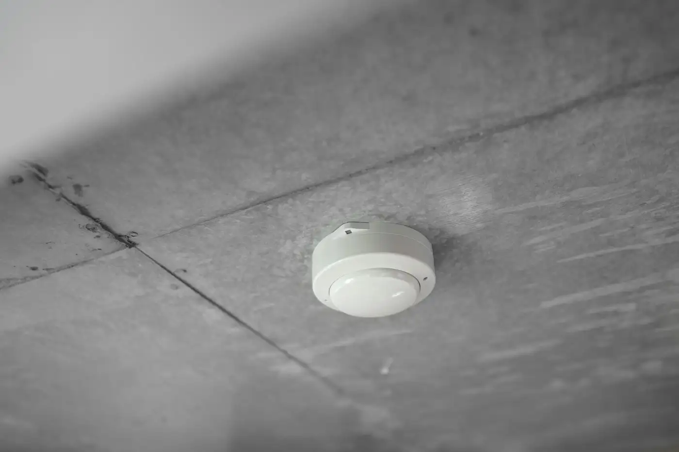 A light bulb on a table