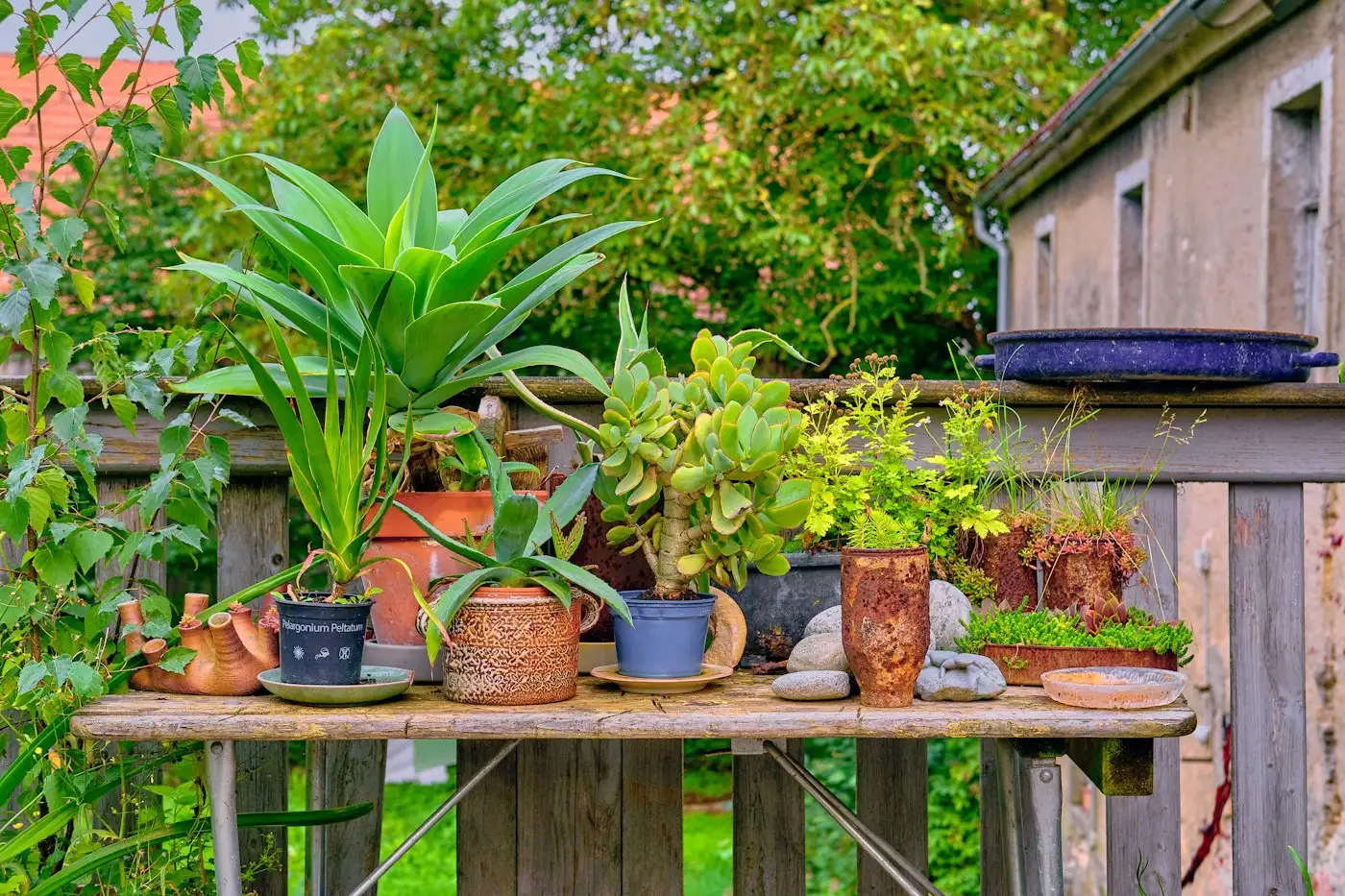 A wooden table topped with lots of potted plants