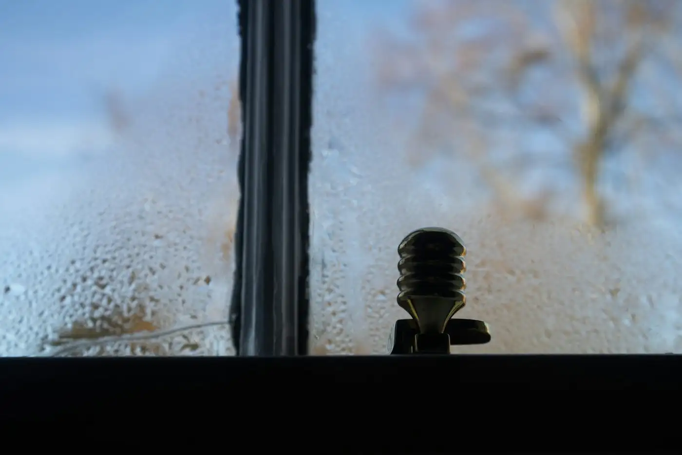 Condensation on a windowpane with a tree outside